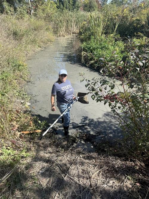 creek picture